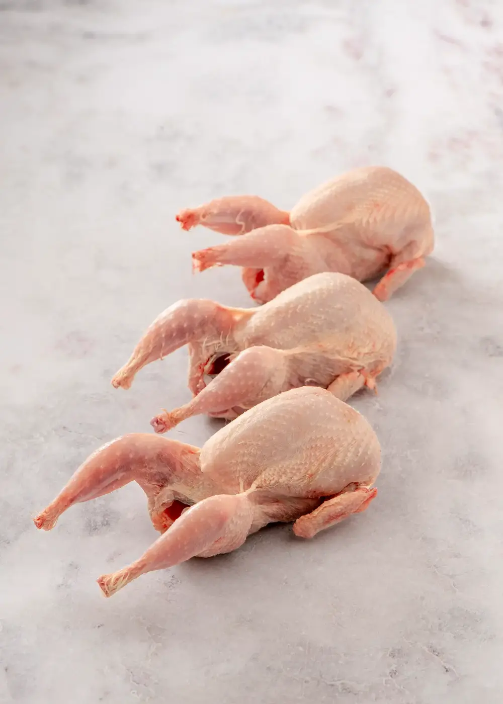 Codornices